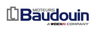 Baudouin Logo